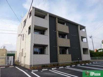 サクラの画像