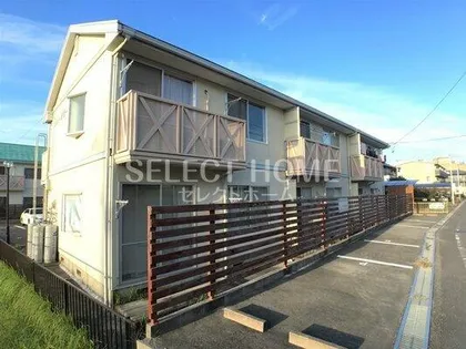 エバーグリーンBの画像