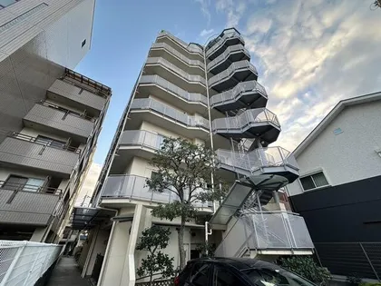 チェリーアクタの画像