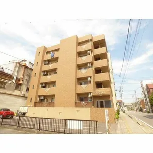 ティアラ康生の画像