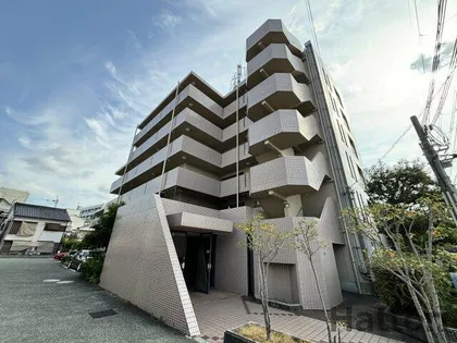 ハイムヤノウの画像