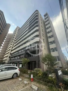 スプランディッドⅡの画像