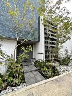 NCODAの画像