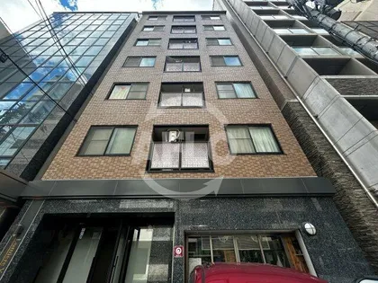 ルミエールヨーシンの画像