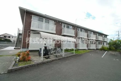 アンジュの画像