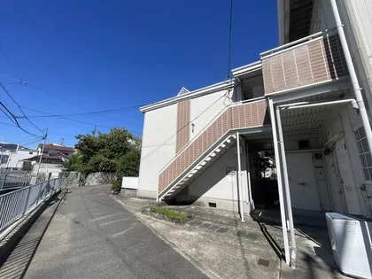 コスモス暁の画像