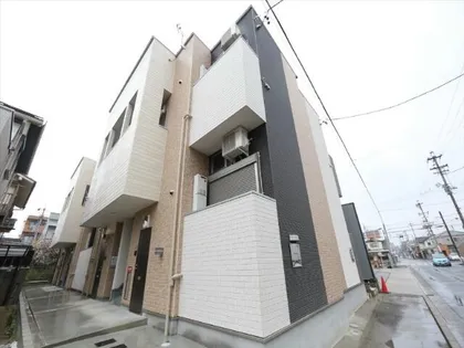 WAINANIの画像
