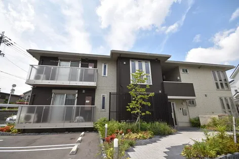 FOREST TREEの画像