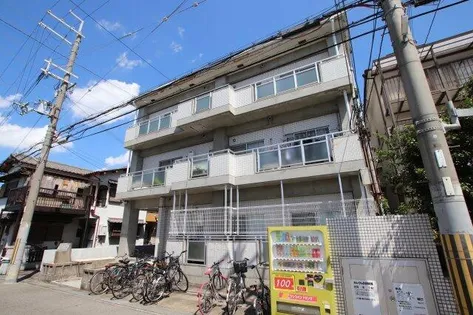 メゾンシグナスの画像