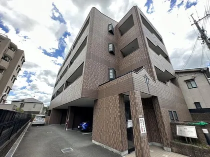 パーム ヒルズの画像