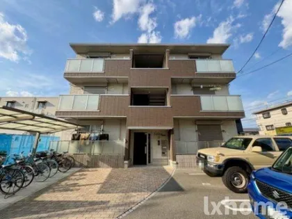 アイオライトの画像