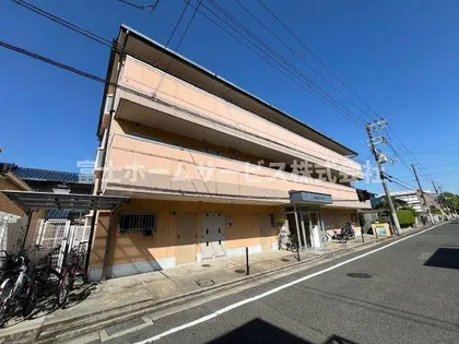 大泉ハイツ【301号室】の外観