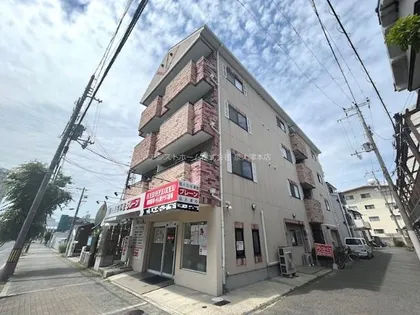 ソニア池浦の画像