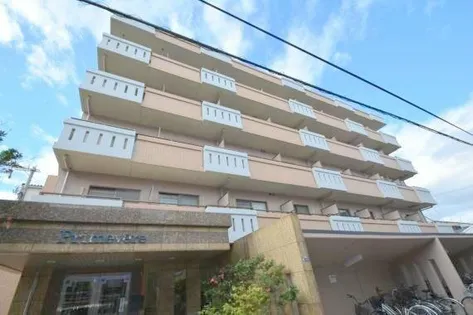 プリムヴェールの画像