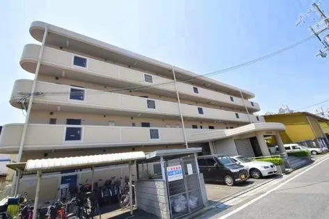 セラヴィ島之内の画像