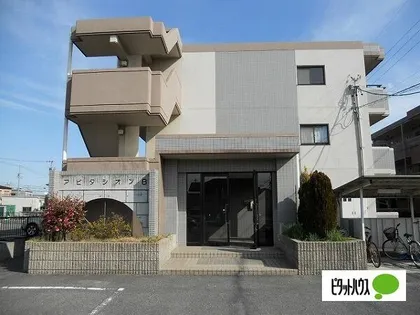 アピタシオンAの画像