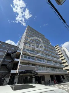 メイウール木川中里の画像