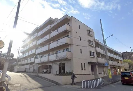 ポリアンサローズの画像