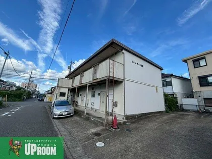 ウィンディ朝宮の画像