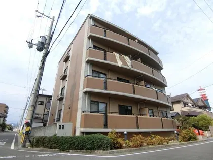 スペンドカームリーの画像
