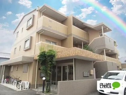 ジュネスホワイトの画像