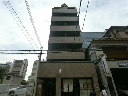 プリムローズの画像