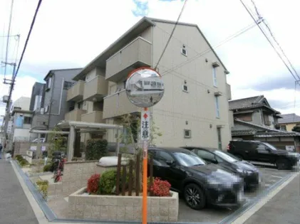 パライソの画像