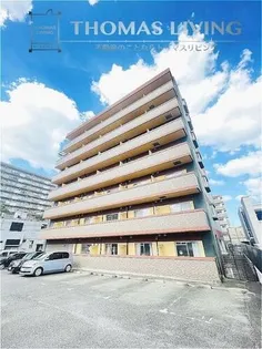 エクセルマロン紅梅の画像