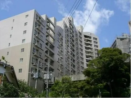 アメニス桜山寺E棟の画像
