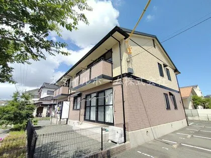 エクセルコートアモンの画像