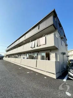 ビスターレの画像