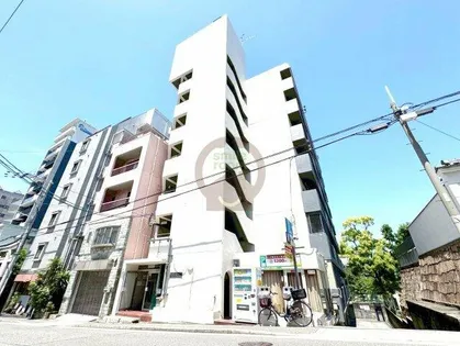 大阪府大阪市中央区高津1丁目【マンション】の外観