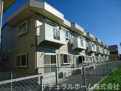 エルディムナツメDの画像