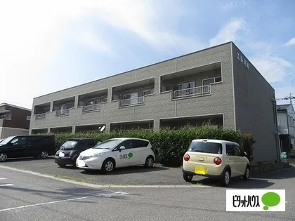 エル浅井の画像