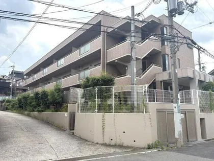 ソシアグレースの画像