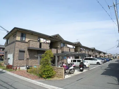 サワーフローラの画像