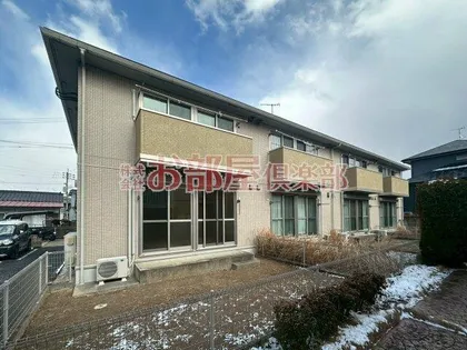 グリーンカトレアの画像