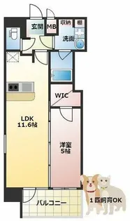 スプランディッド京橋EAST【9階】の間取り