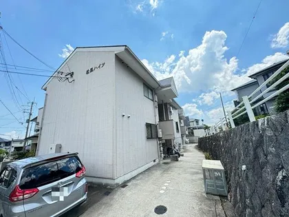 売布ベルトリーニの画像