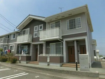 サンフラワーAの画像