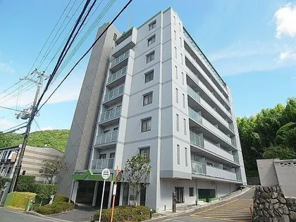 アルタイル中上の画像