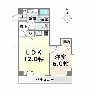ベラビスタ柴田【7階】の間取り