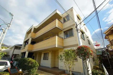 メゾン河村の画像