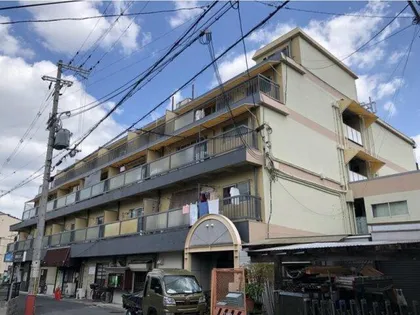 宮前ハイムの画像