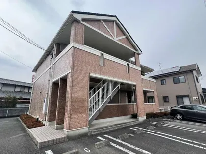 プリムローズの画像