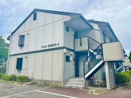 シャイニーSHIBATAⅡの画像