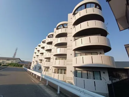 プリメーラMTの画像