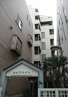 セピアハイツ【1階】の外観