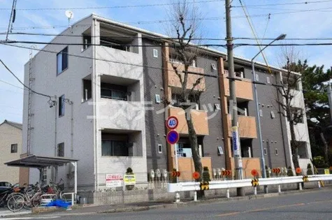 グレイス藤の画像
