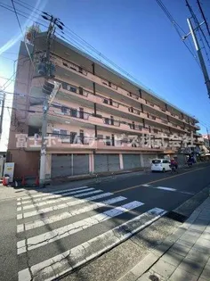 エバーグリーンの画像